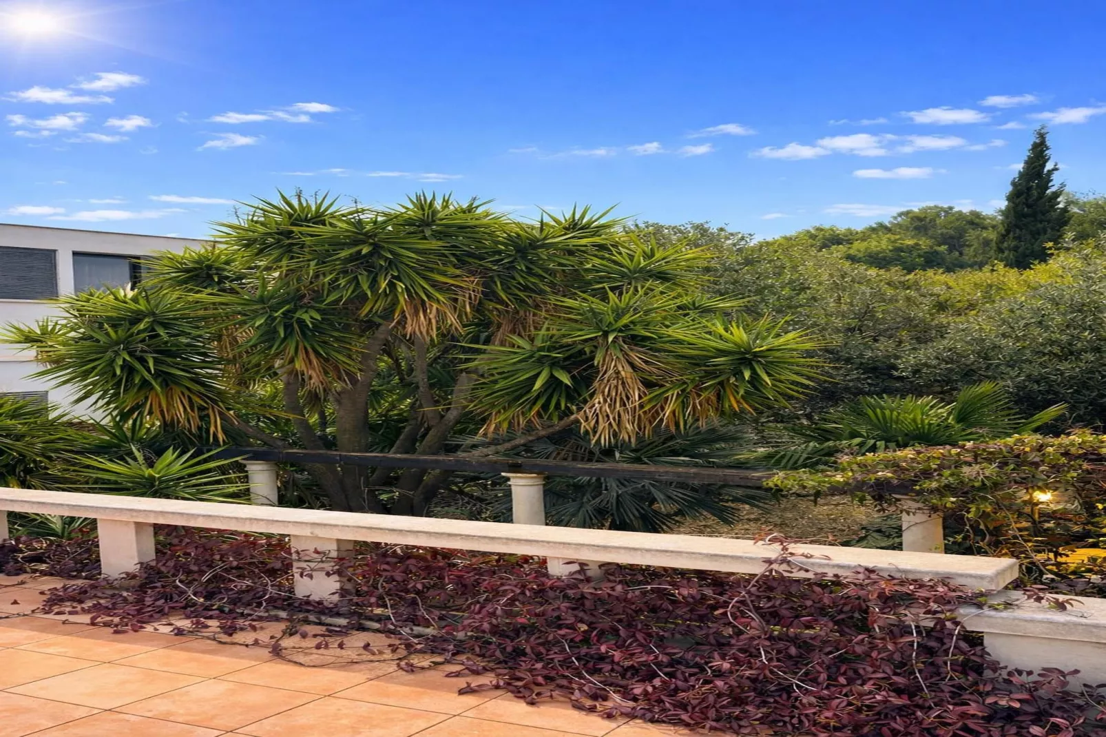 Villa Palma Maris - Garten Sommer