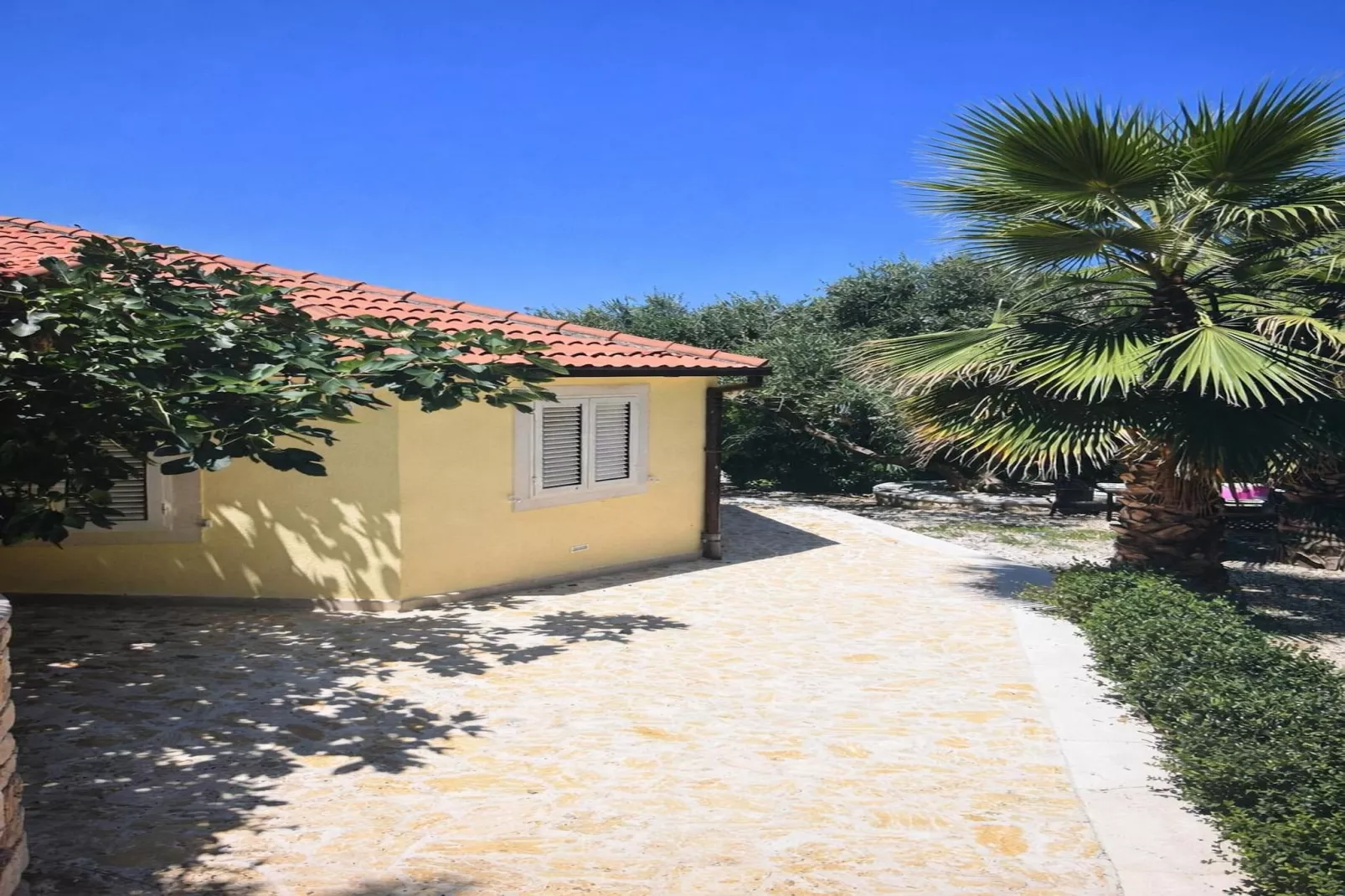 Villa Palma Maris - Garten Sommer