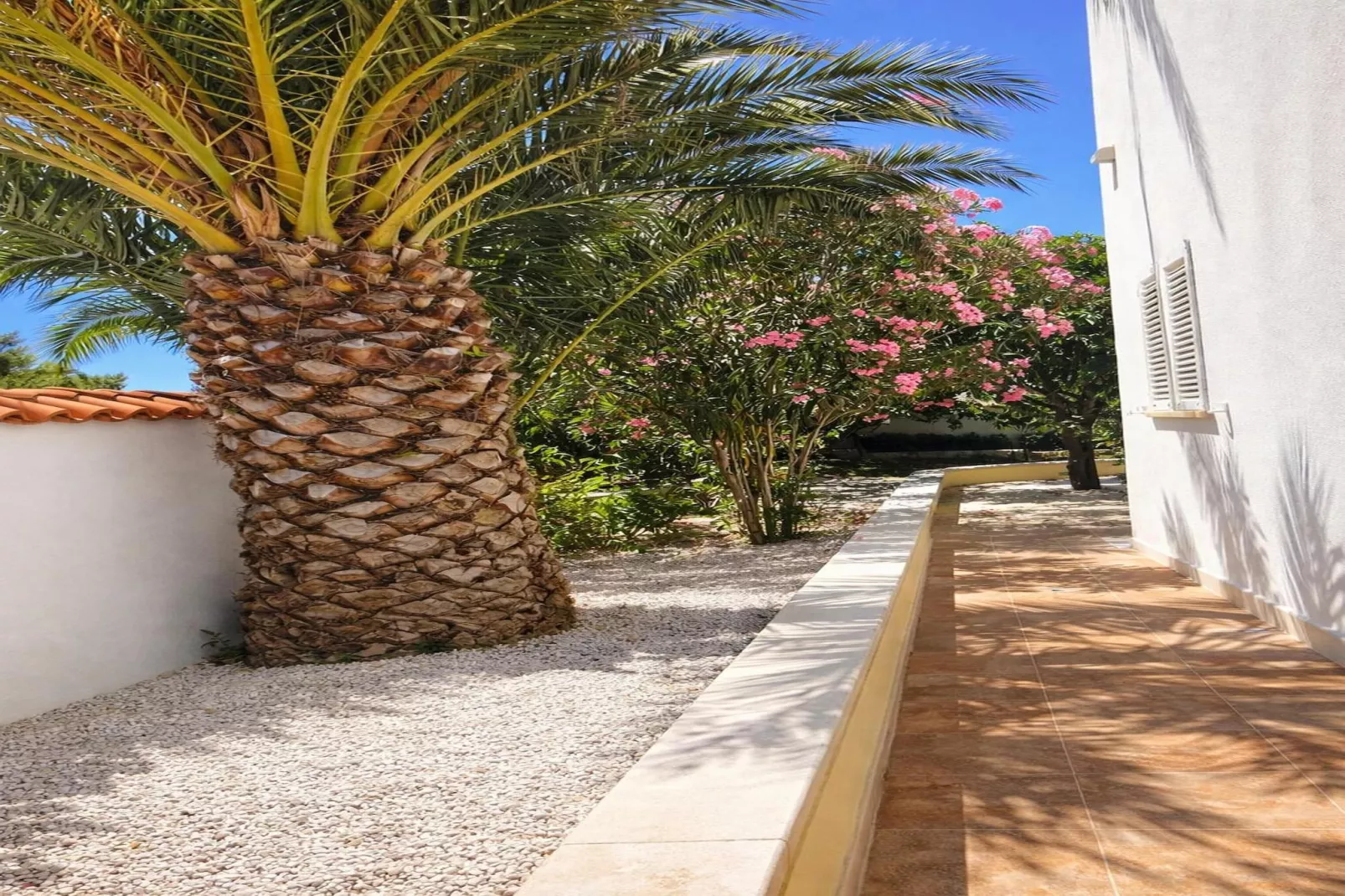 Villa Palma Maris - Ambiente