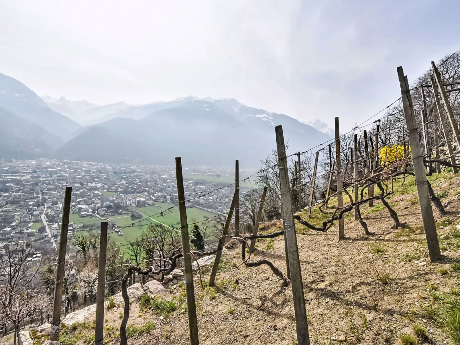 Al Vignale - Le Terrazze - Outside