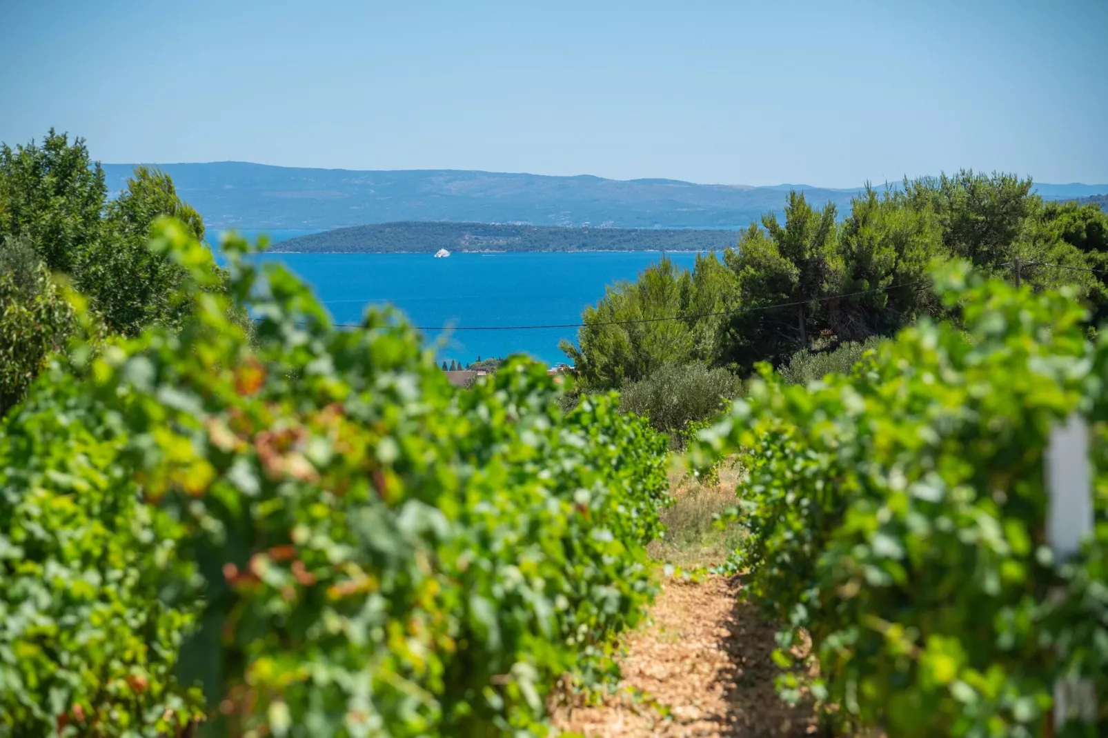 VILLA VISTA VINEA - Aussicht Sommer