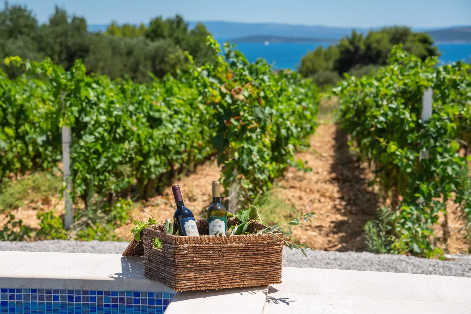 VILLA VISTA VINEA - Aussicht Sommer