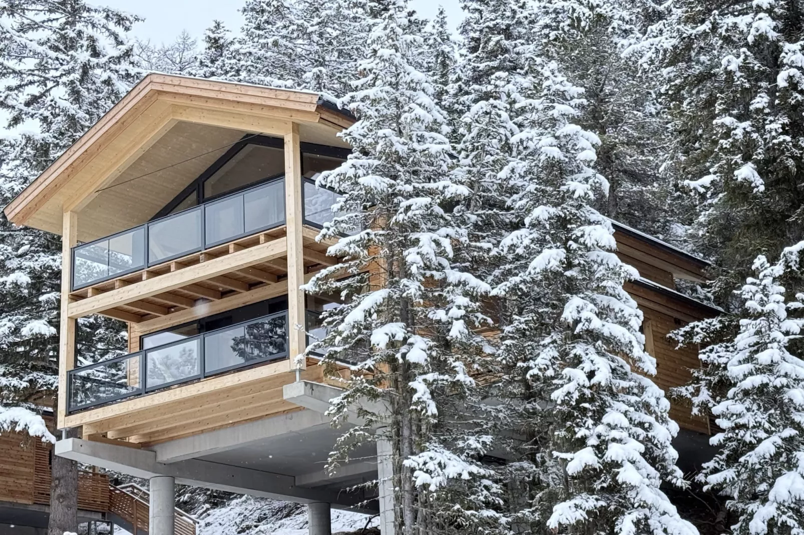 Naturchalets Turracher Höhe 29 - Extérieur