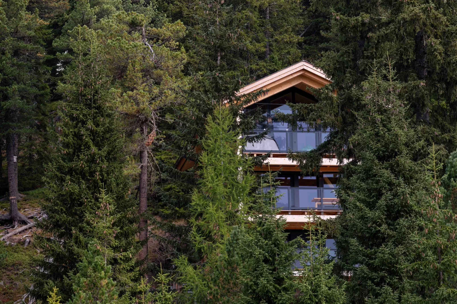 Naturchalets Turracher Höhe 32 - Im Freien