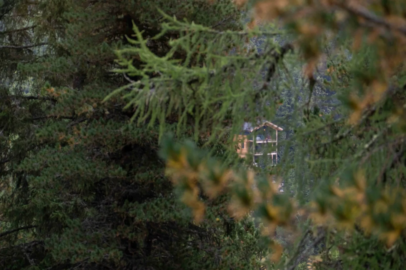 Naturchalets Turracher Höhe 32 - Im Freien