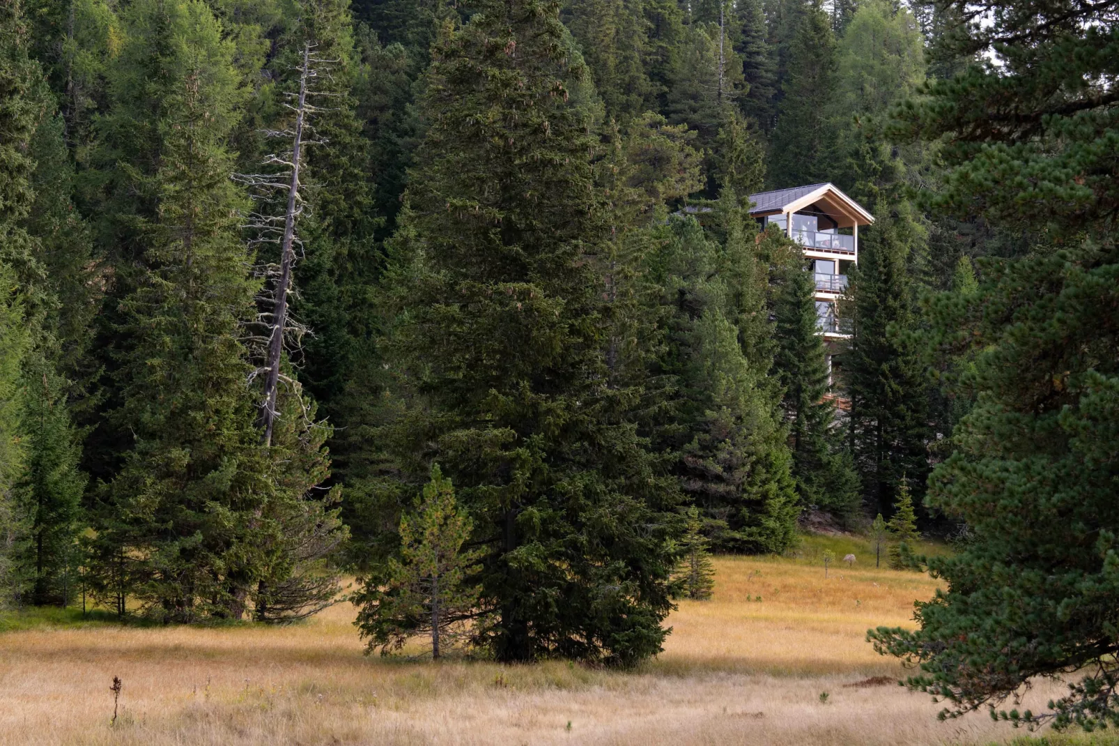 Naturchalets Turracher Höhe 32 - Im Freien