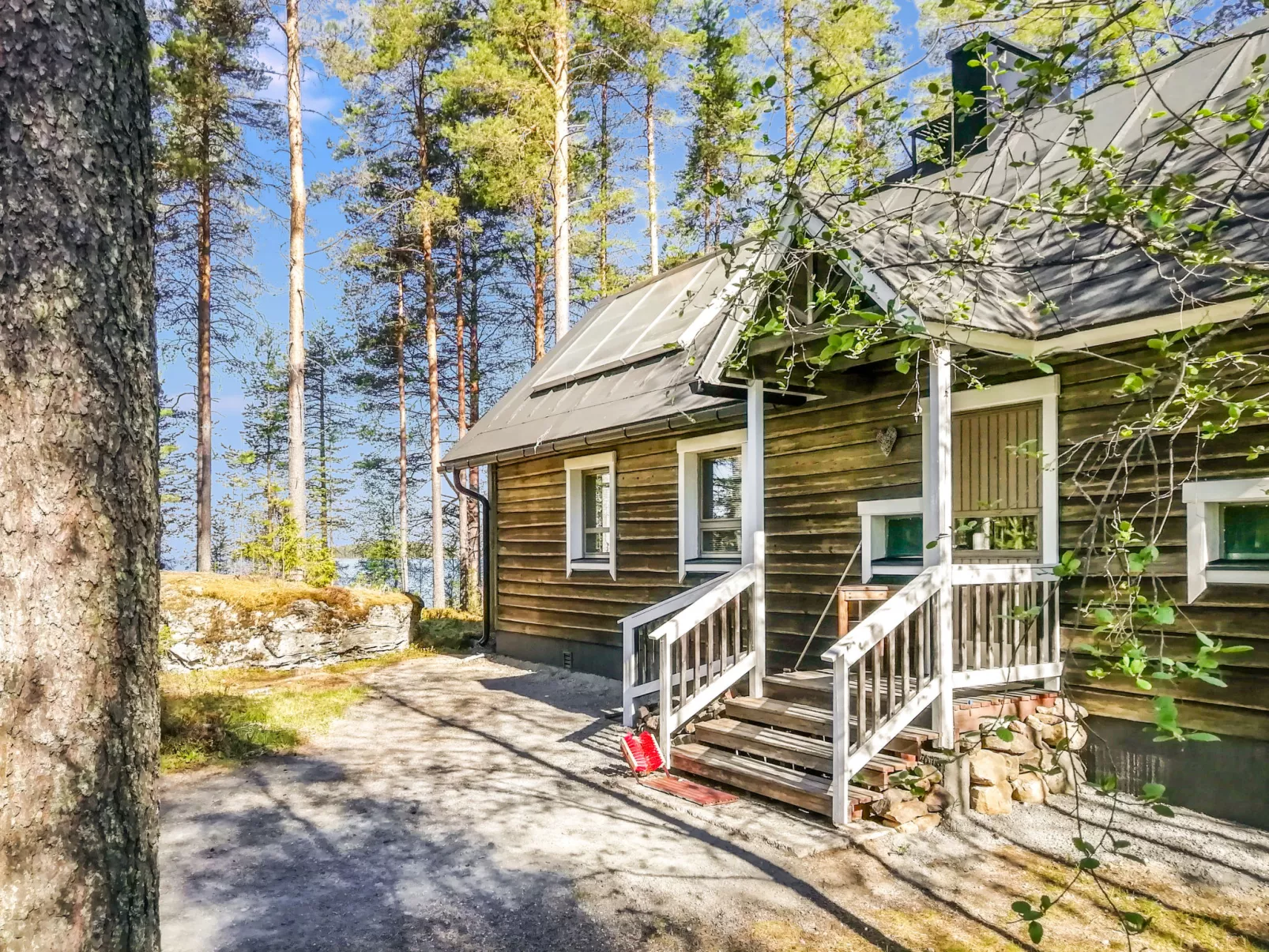 Luhtalemmikki - Dedans