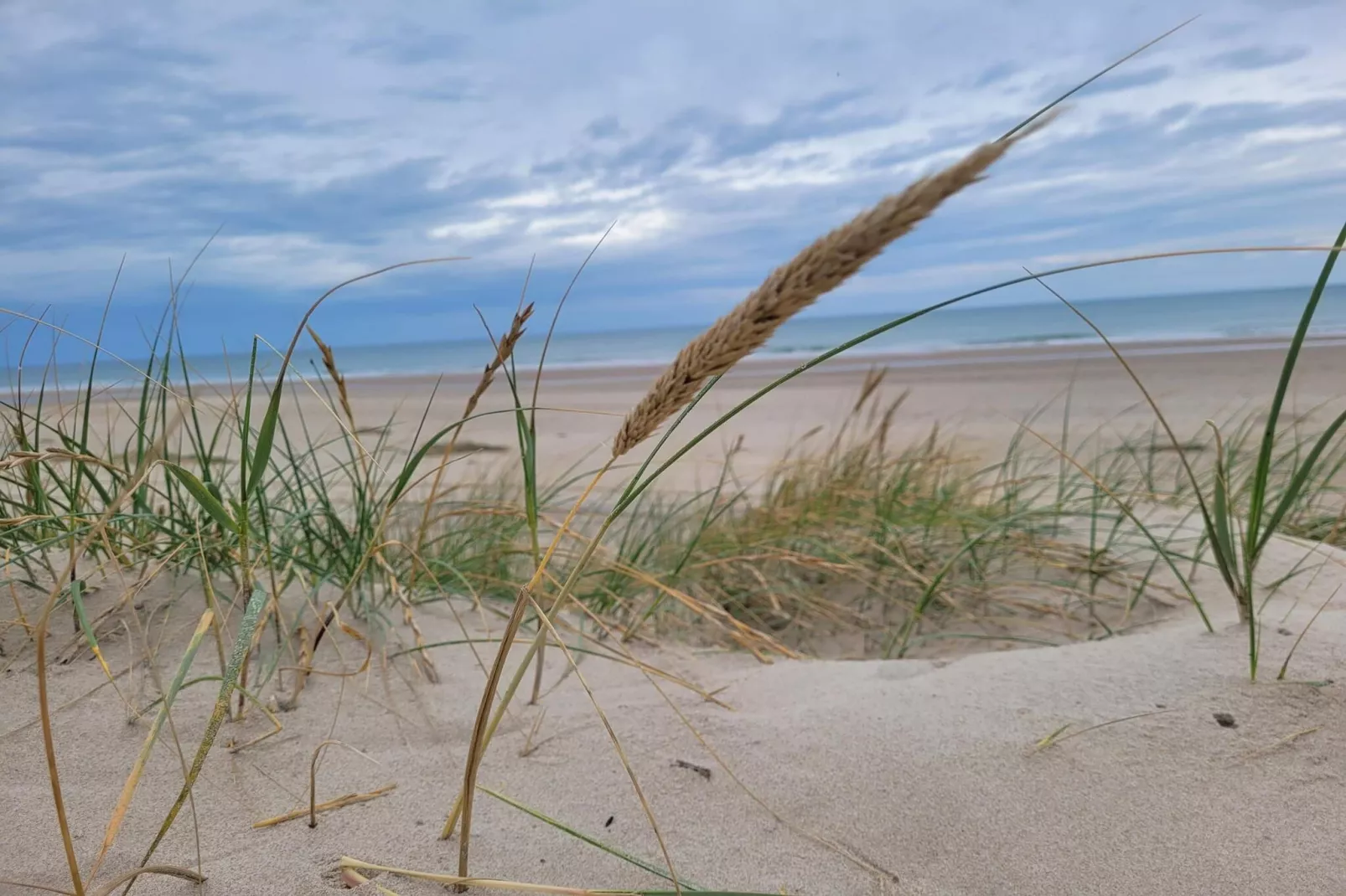 9 Personen Ferienhaus in Hirtshals-By Traum