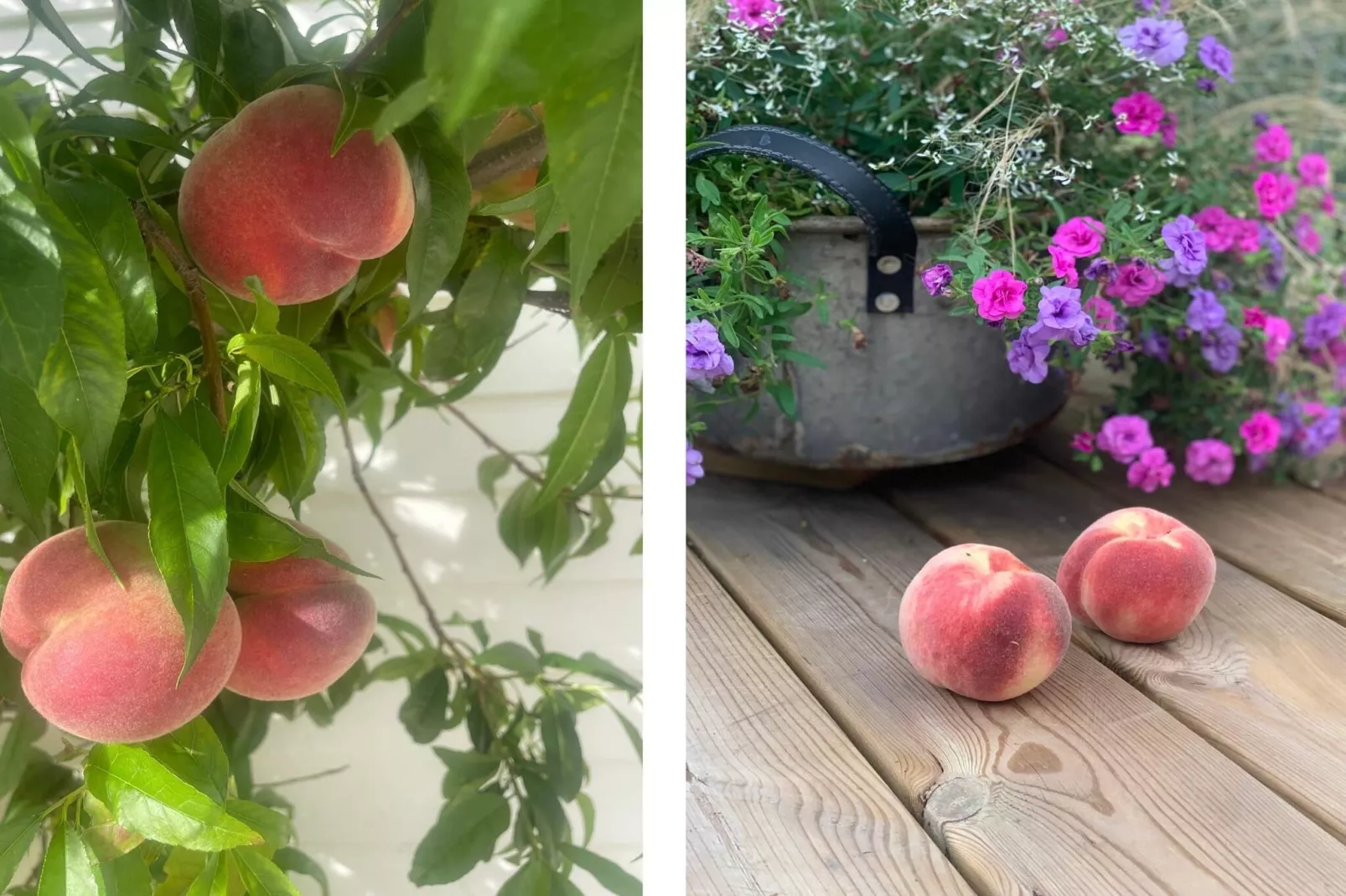 4 Sterne Ferienhaus in FÄRJESTADEN - Im Freien