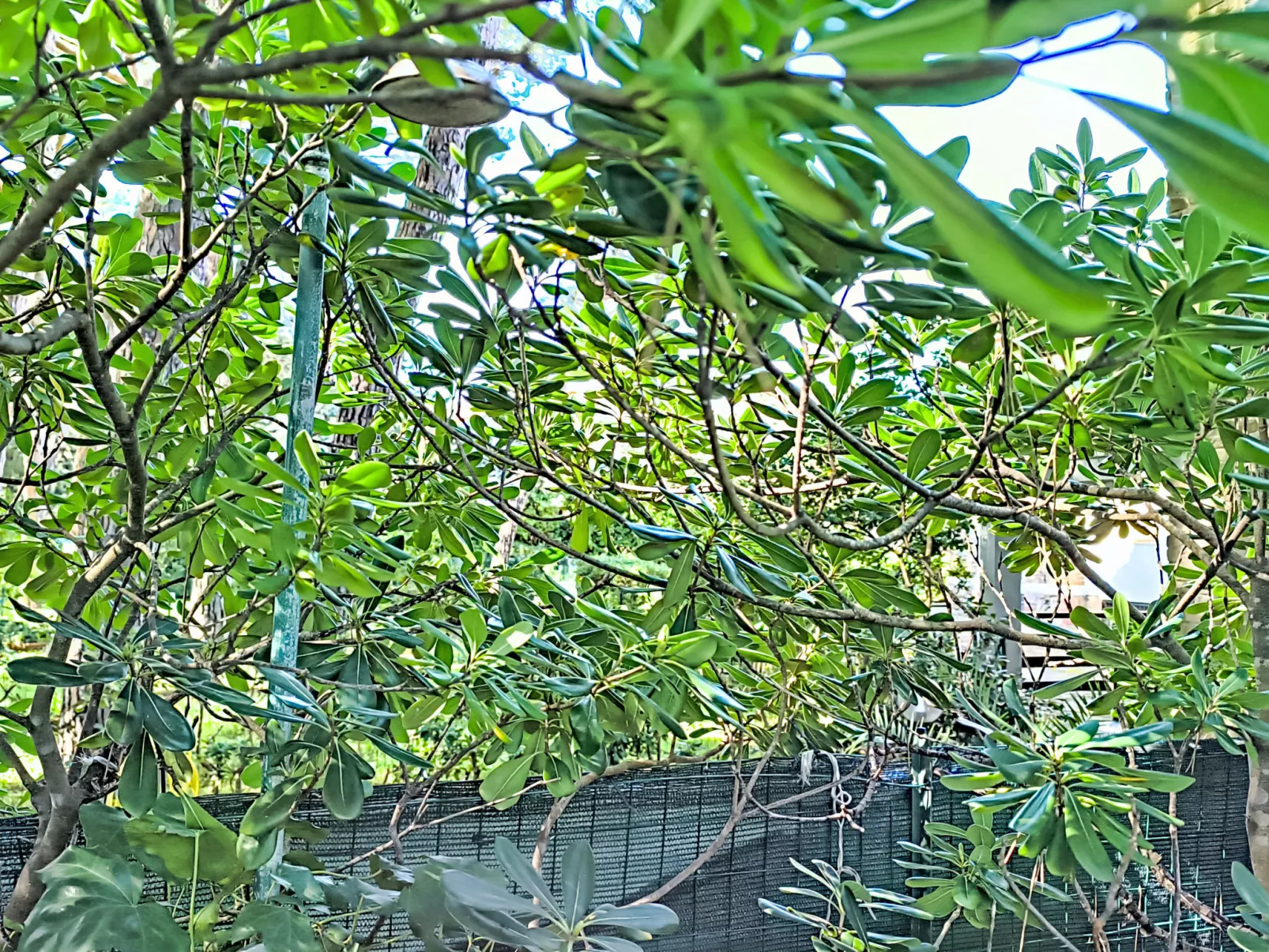 Il giardino alle Rocchette - Outside