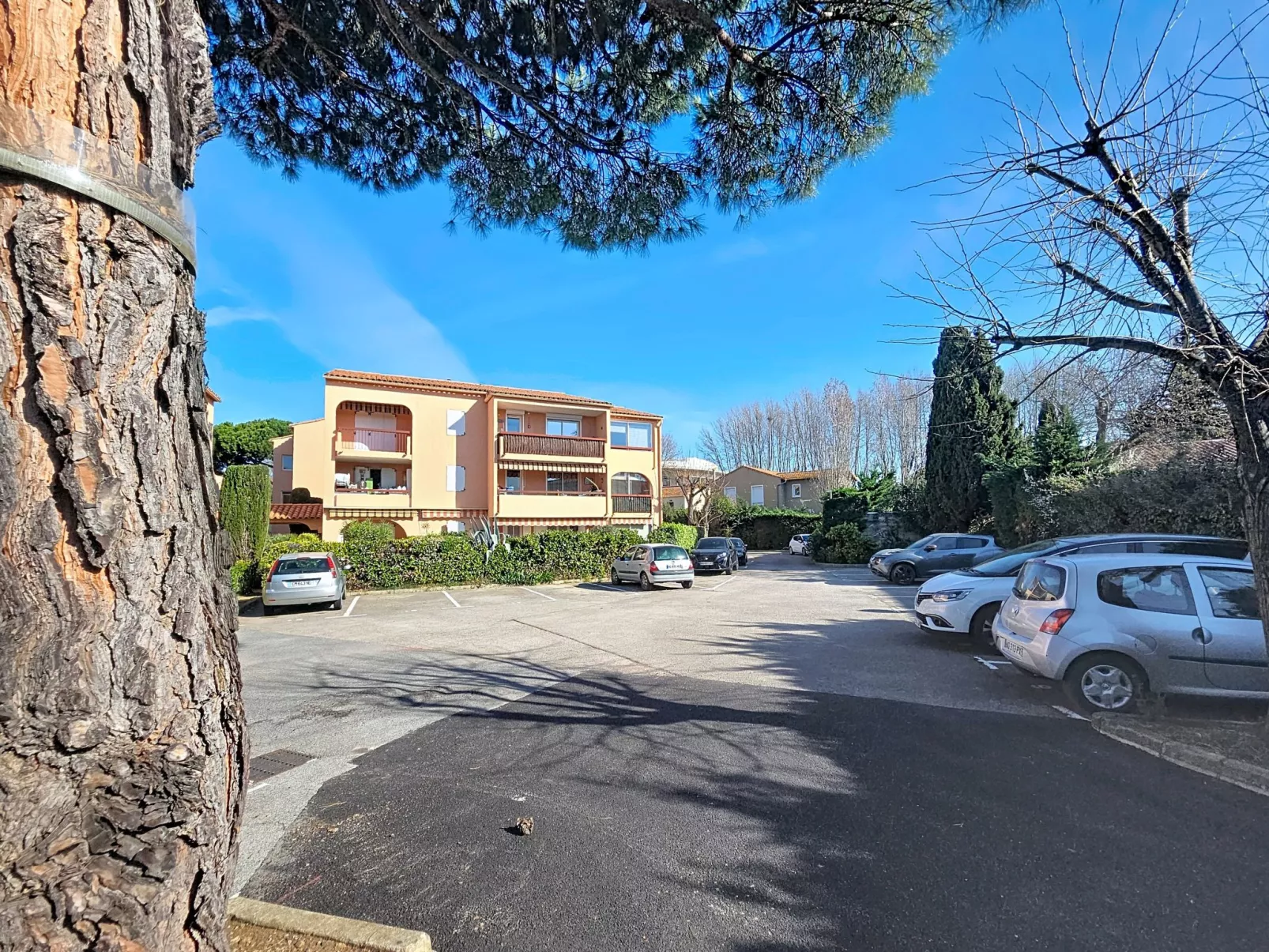 Les Flamants Roses - Draußen