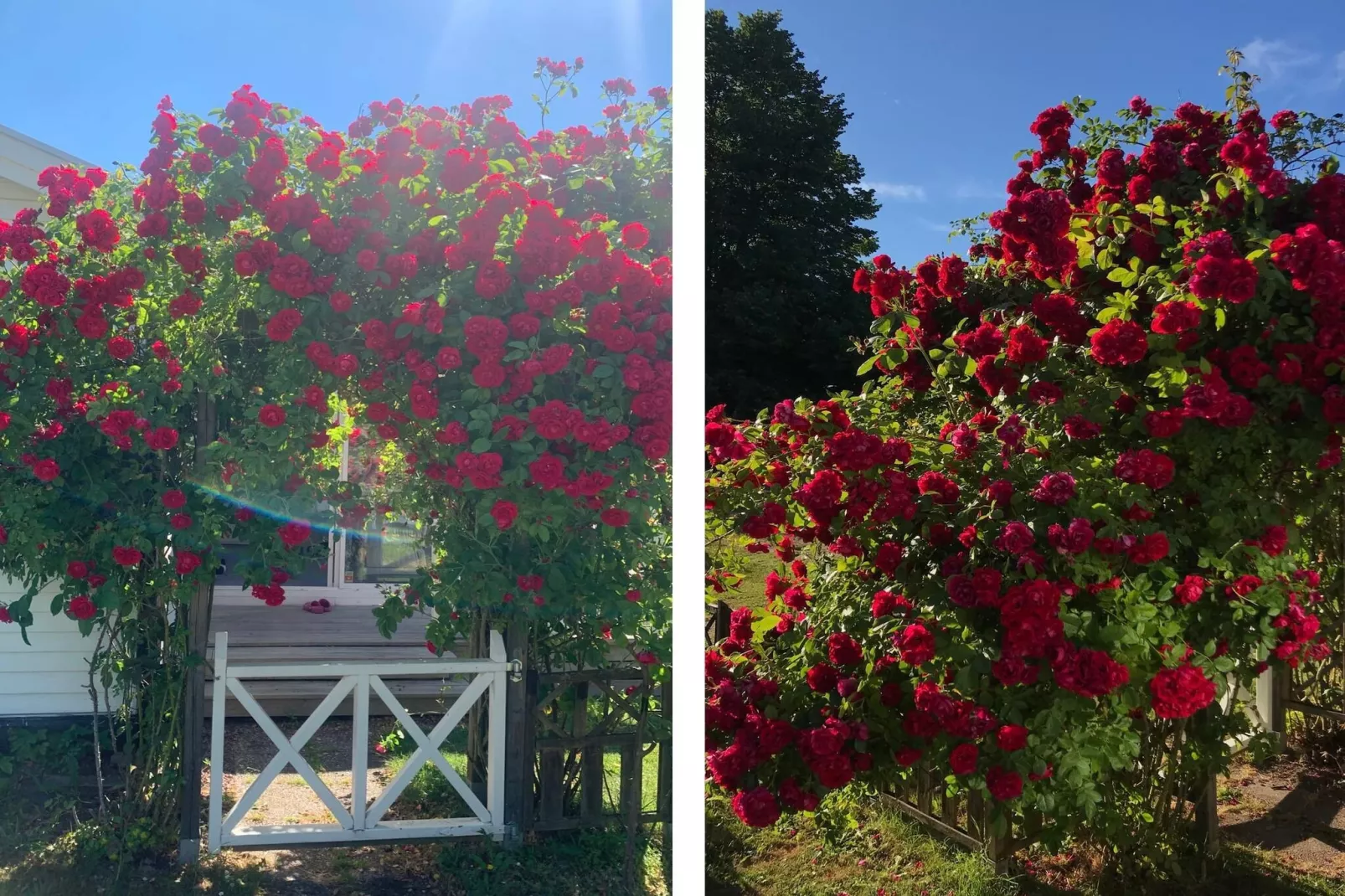 4 Sterne Ferienhaus in FÄRJESTADEN - Im Freien
