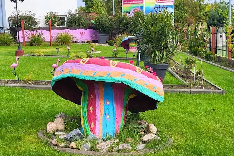 Domy wakacyjne dla max 4 osób w Dębinie - Jardins en été