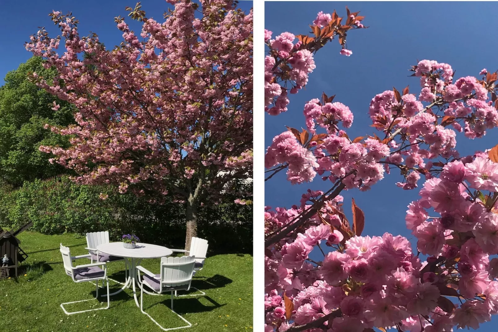 4 Sterne Ferienhaus in FÄRJESTADEN - Im Freien