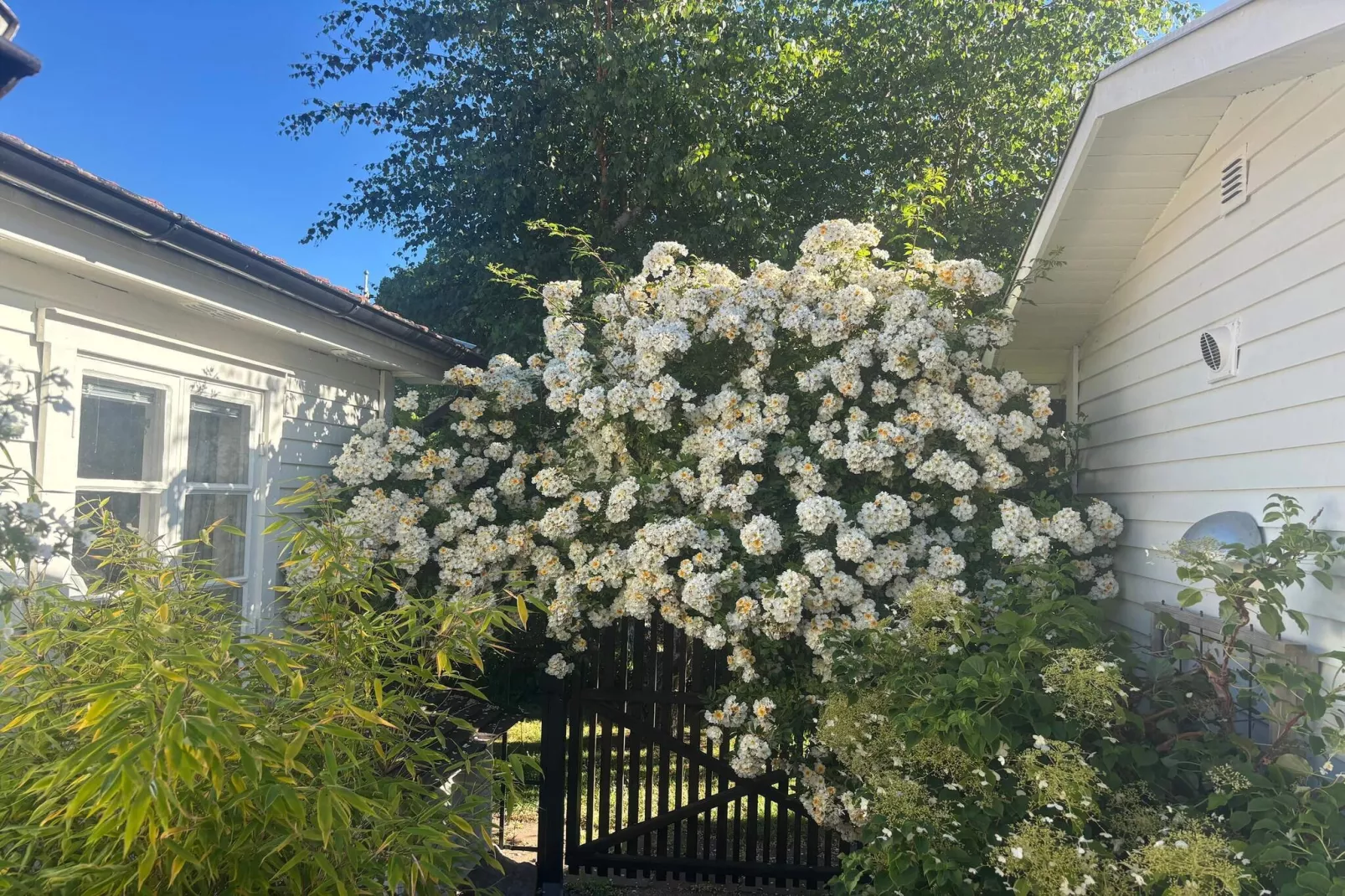 4 Sterne Ferienhaus in FÄRJESTADEN - Im Freien