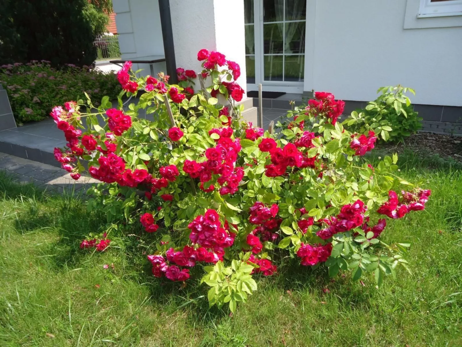 Wohnung in Rowy mit Grill, Terrasse, Parkplatz u - Draußen