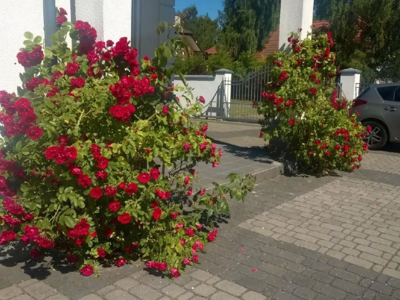 Gemütliche Wohnung in Rowy mit Terrasse, Grill, - Draußen