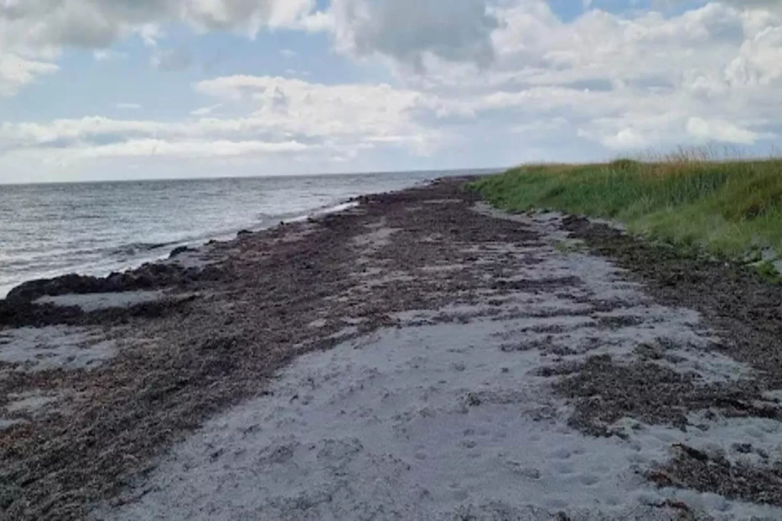 Maison de vacances pour 6 a Læsø-By Traum - Vue sur l'eau