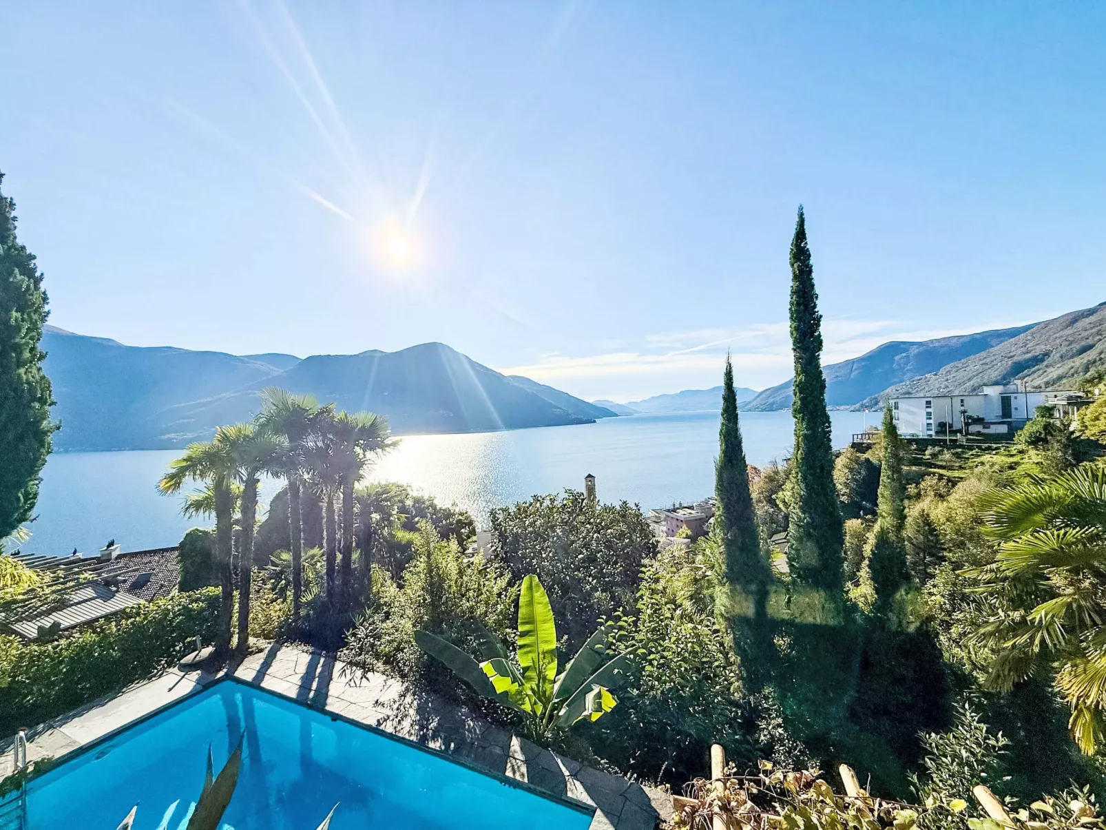 Araucaria - Draußen