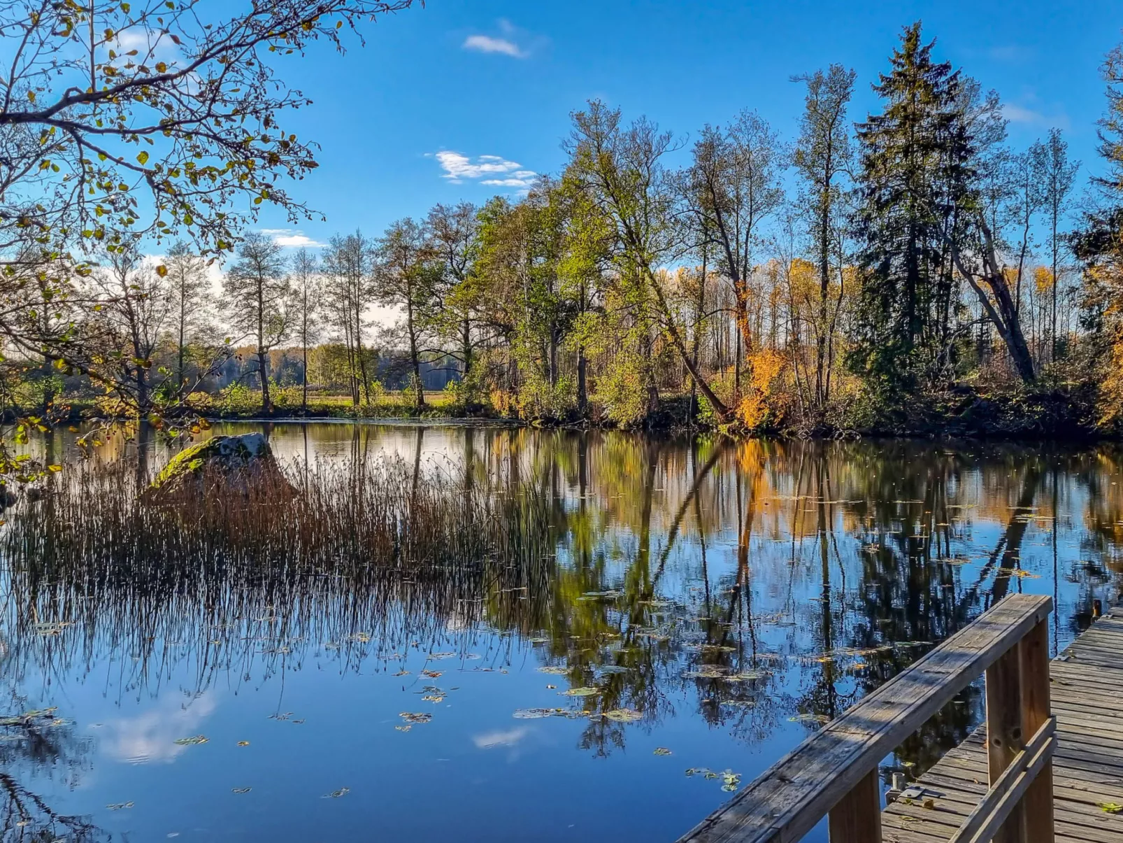 Villa kaunisvirta - Inside