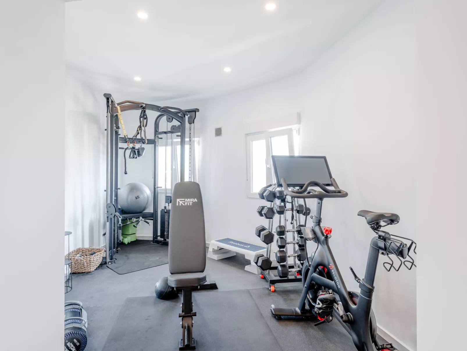 Tintorera Mar Azul - Inside