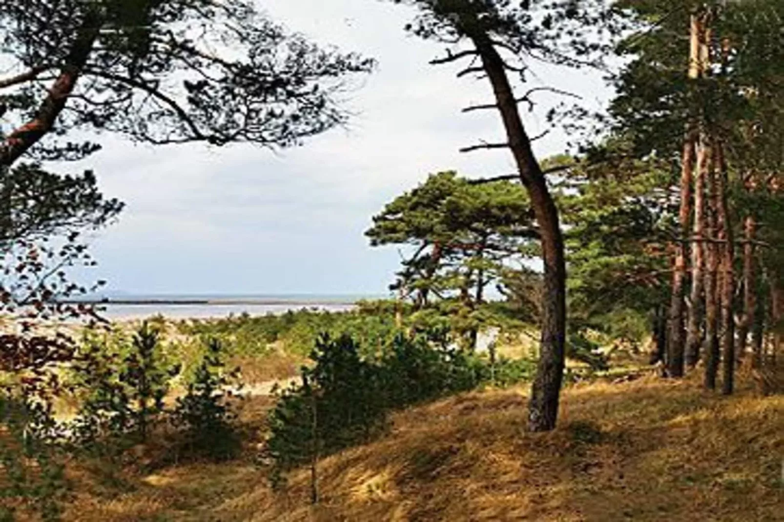 Ferienwohnung Rügenblick - Gebiete Sommer 5 km