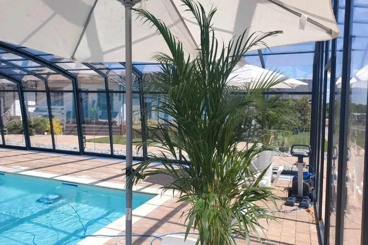 Domki wakacyjne przy basenie Jarosławiec - Swimming pool