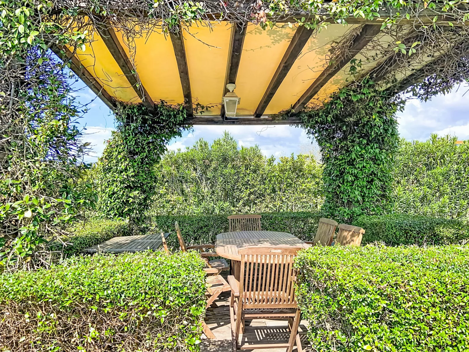 Villa gli Olivi - Draußen