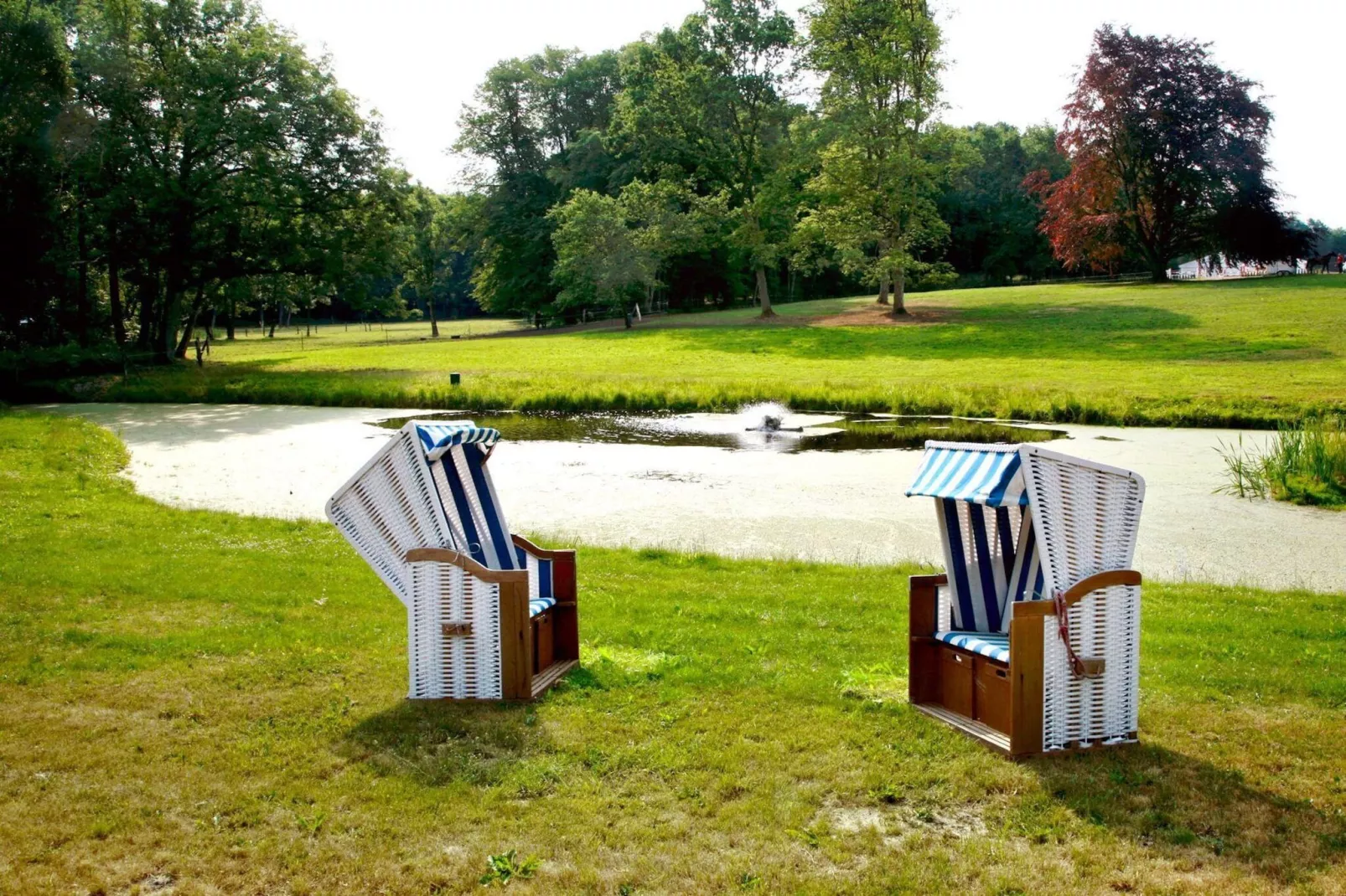 Haus Oliver 200 qm / 1-6 Personen - Gardens in summer