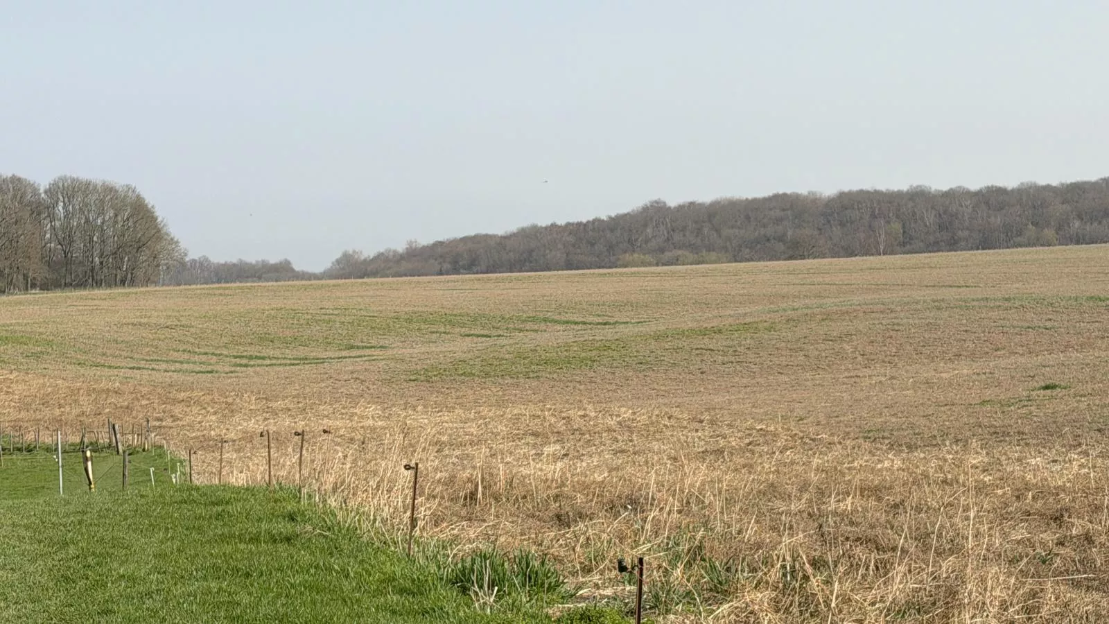 Logeren bij Laura - View