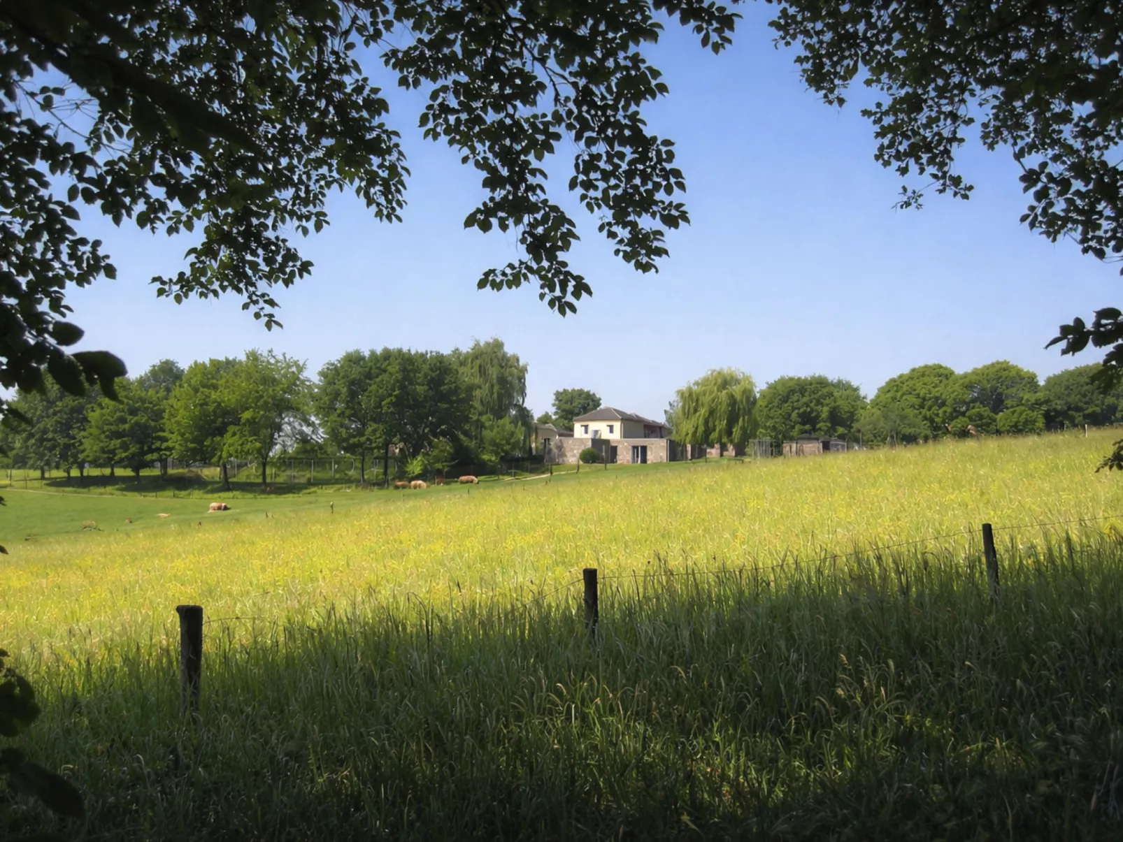 Vrijstaande 10 persoons - Outside