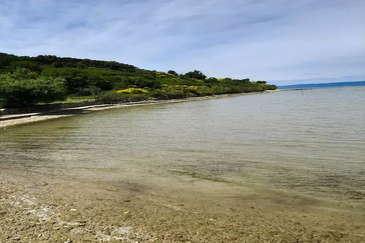 Apartments Snjezana - Two Bedroom Apartment with Balcony and Sea View A2 - Ambiance