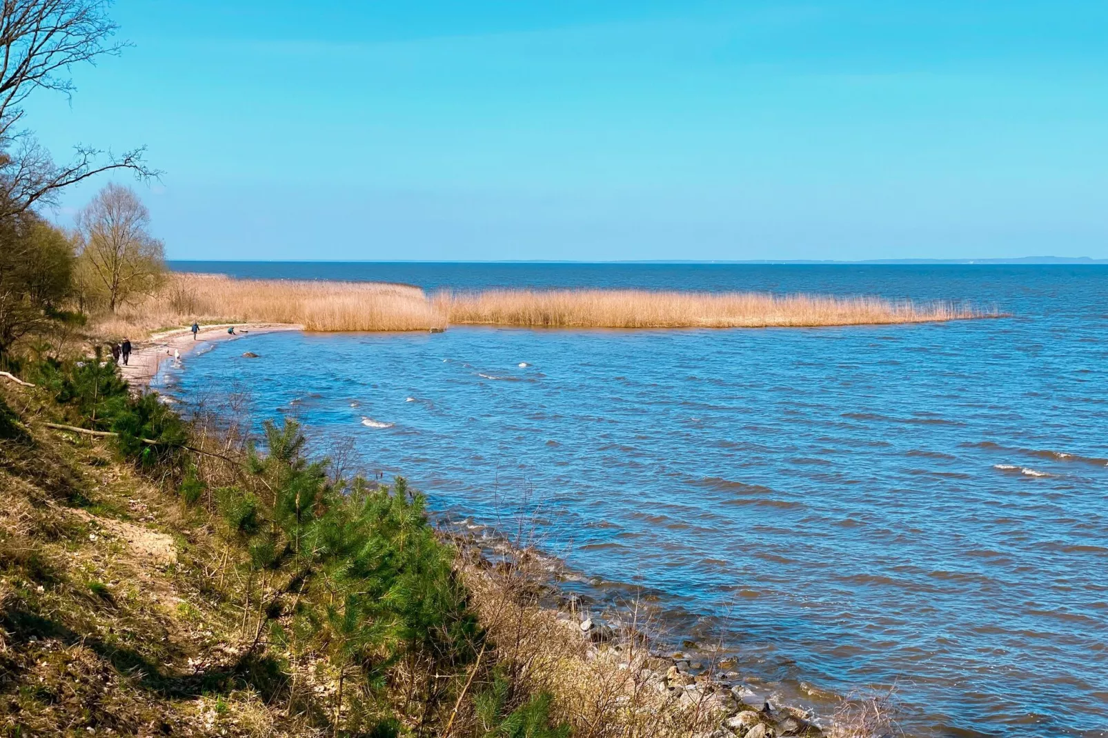 Ferienhaus Seefalke für 10 Personen in Nowe Warpno-Areas summer 1km