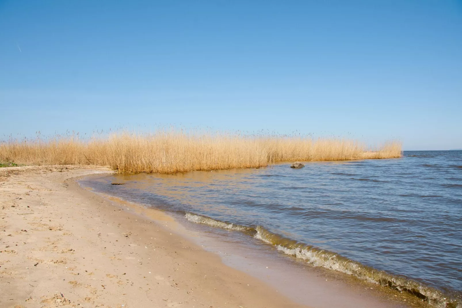 Ferienhaus Seefalke für 10 Personen in Nowe Warpno-Areas summer 1km