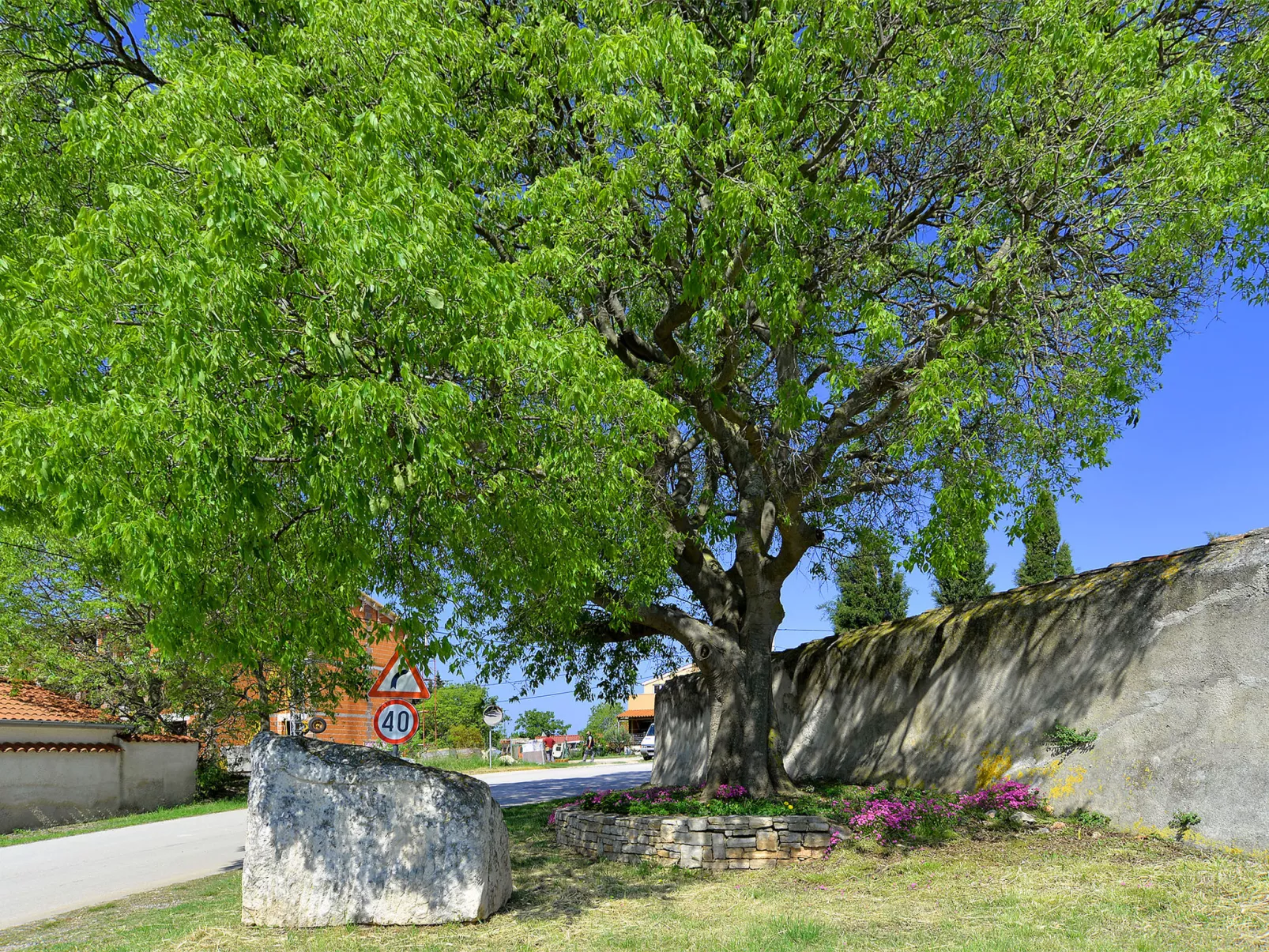 Apartment 1838 - Image-tags.info