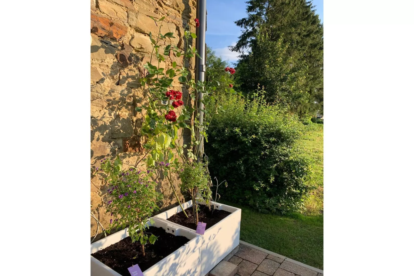 Haus Hunnenberg - Terrasse / balcon