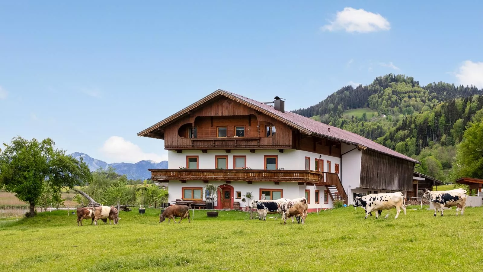 Marschbachhof Top 1 - Außenbereich Sommer