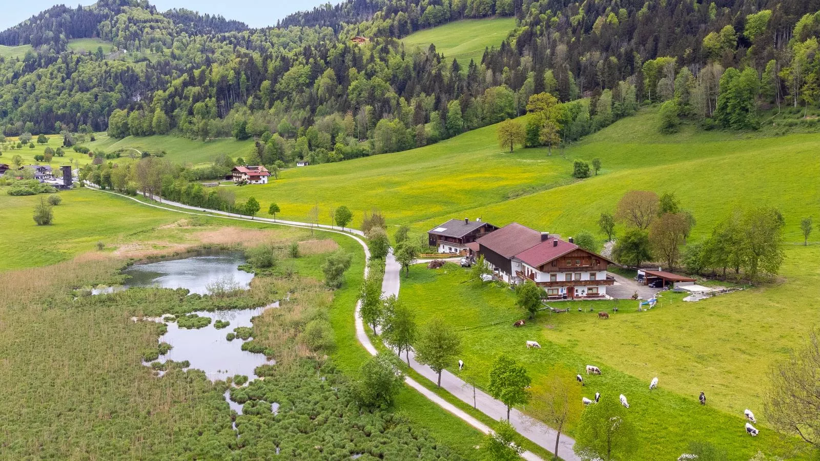 Marschbachhof Top 1 - Außenbereich Sommer