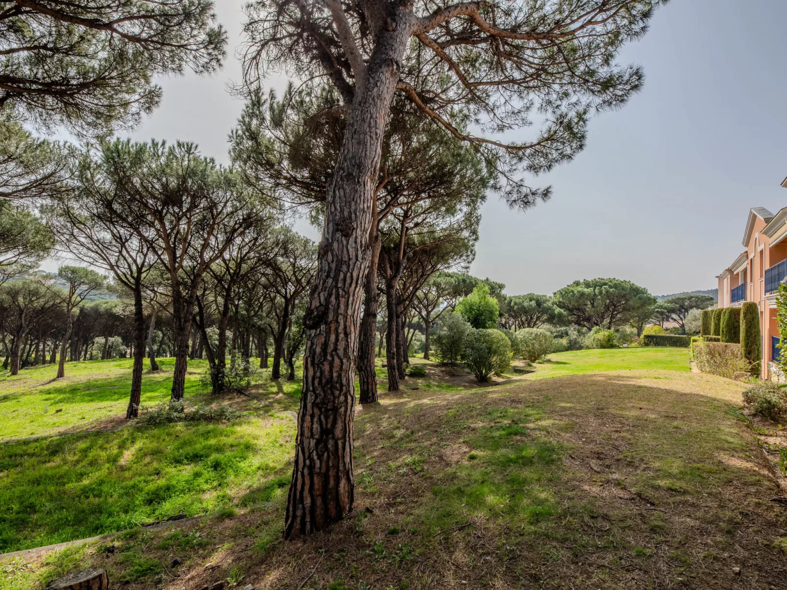 Les Pins Bleus - Draußen