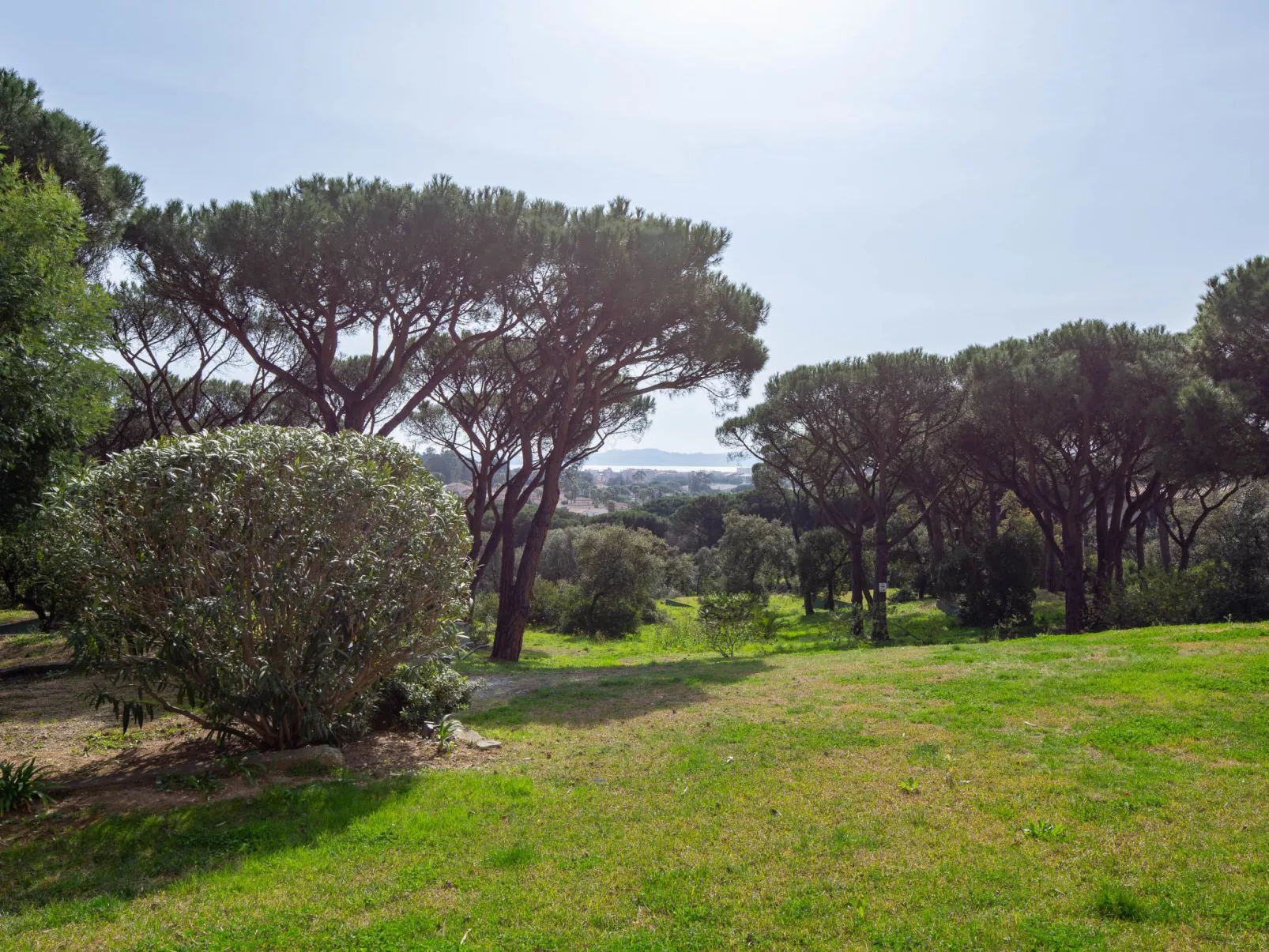 Les Pins Bleus - Draußen