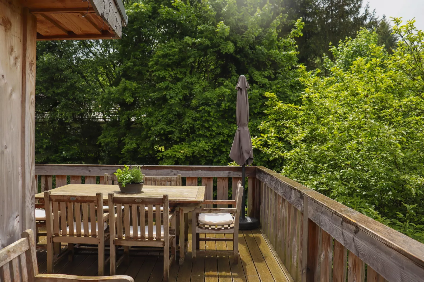 De Eekhoorn - Terrasse/Balkon