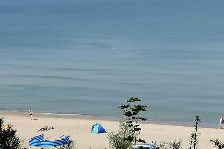 Apartment de luxe am Strand von Rewal-Areas summer 1km