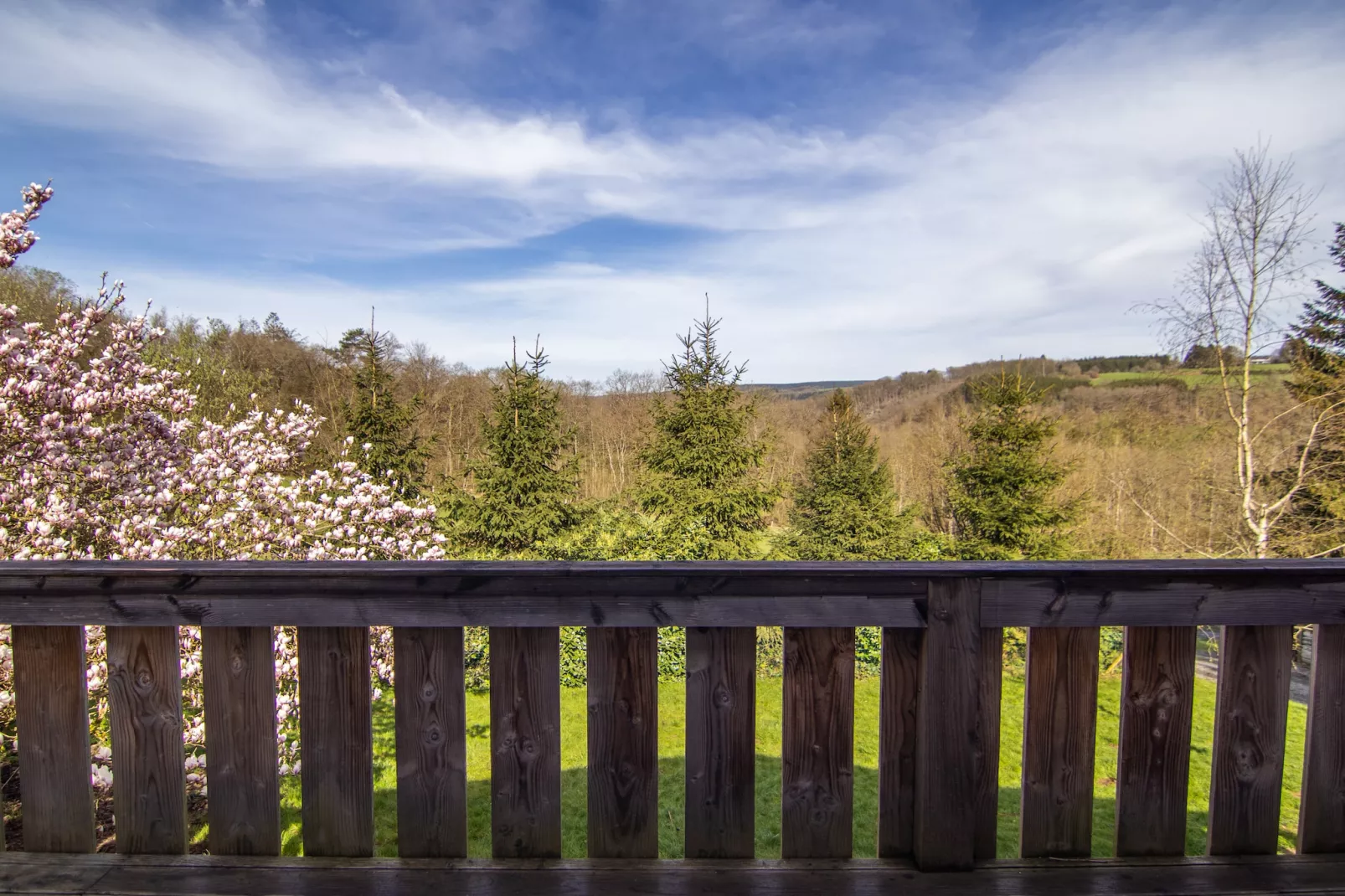 De Eekhoorn - Aussicht Sommer