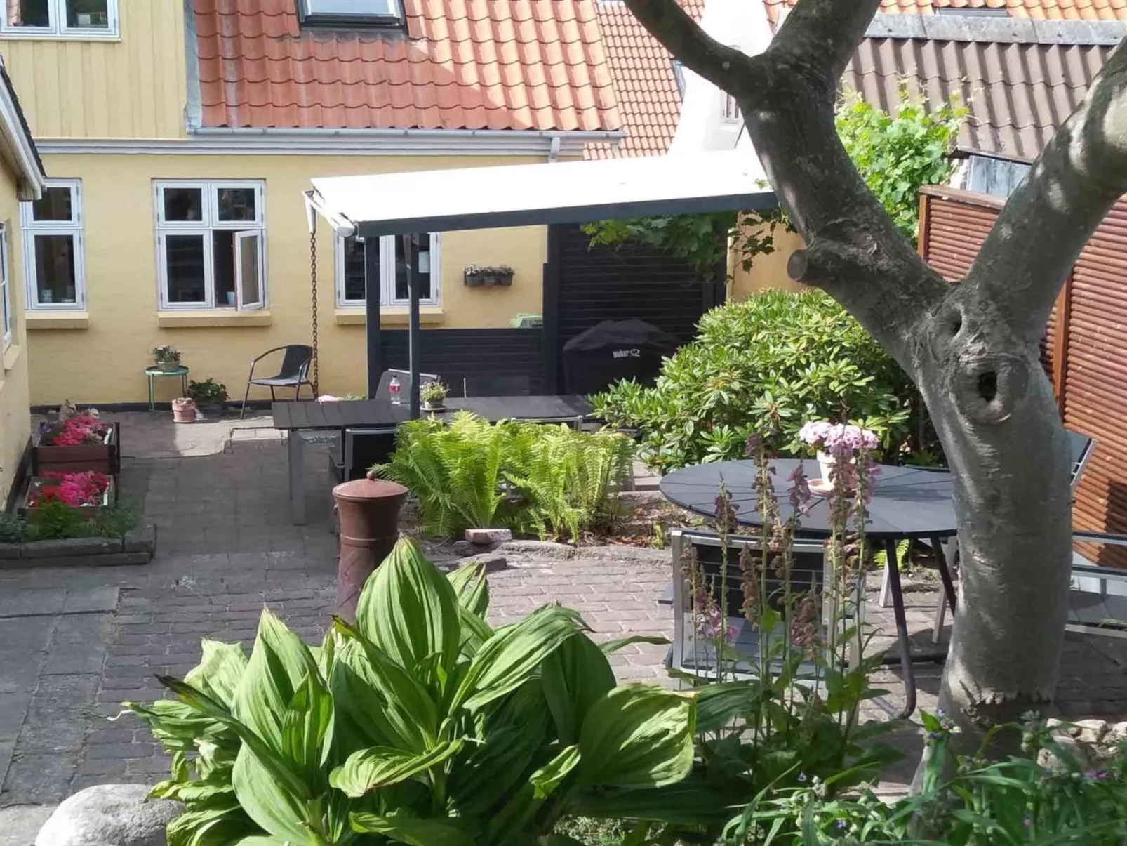 "Noreen" - 500m from the sea - Draußen