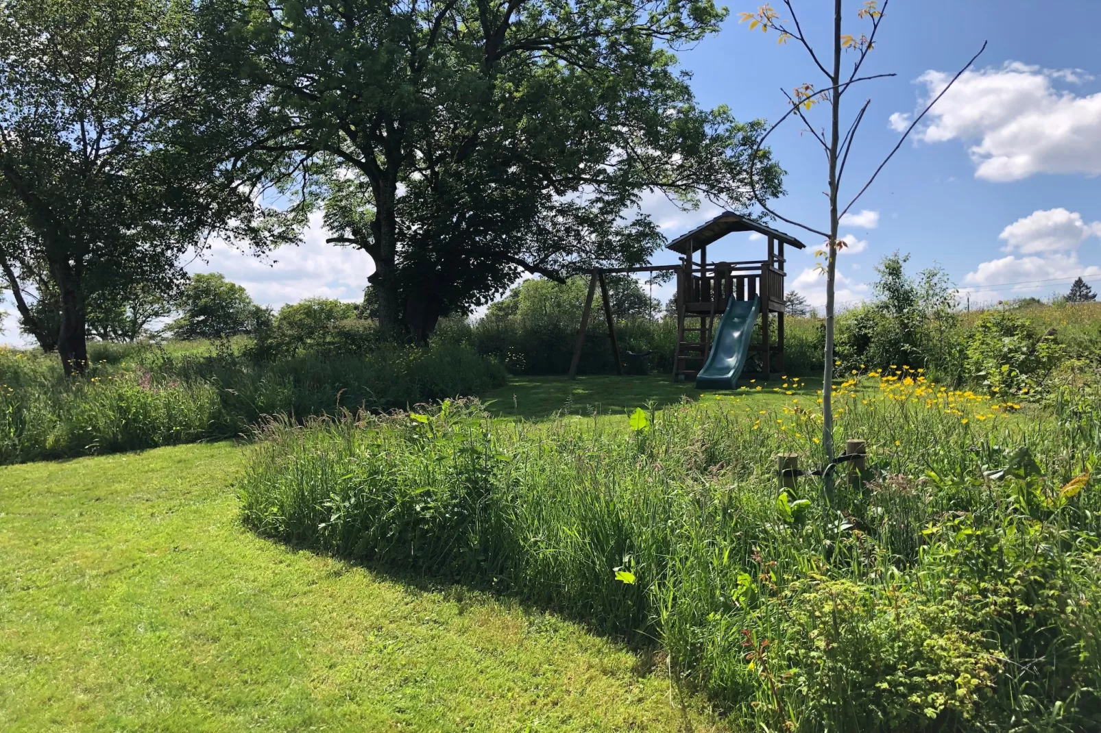 Arduenna Silva - Gardens in summer