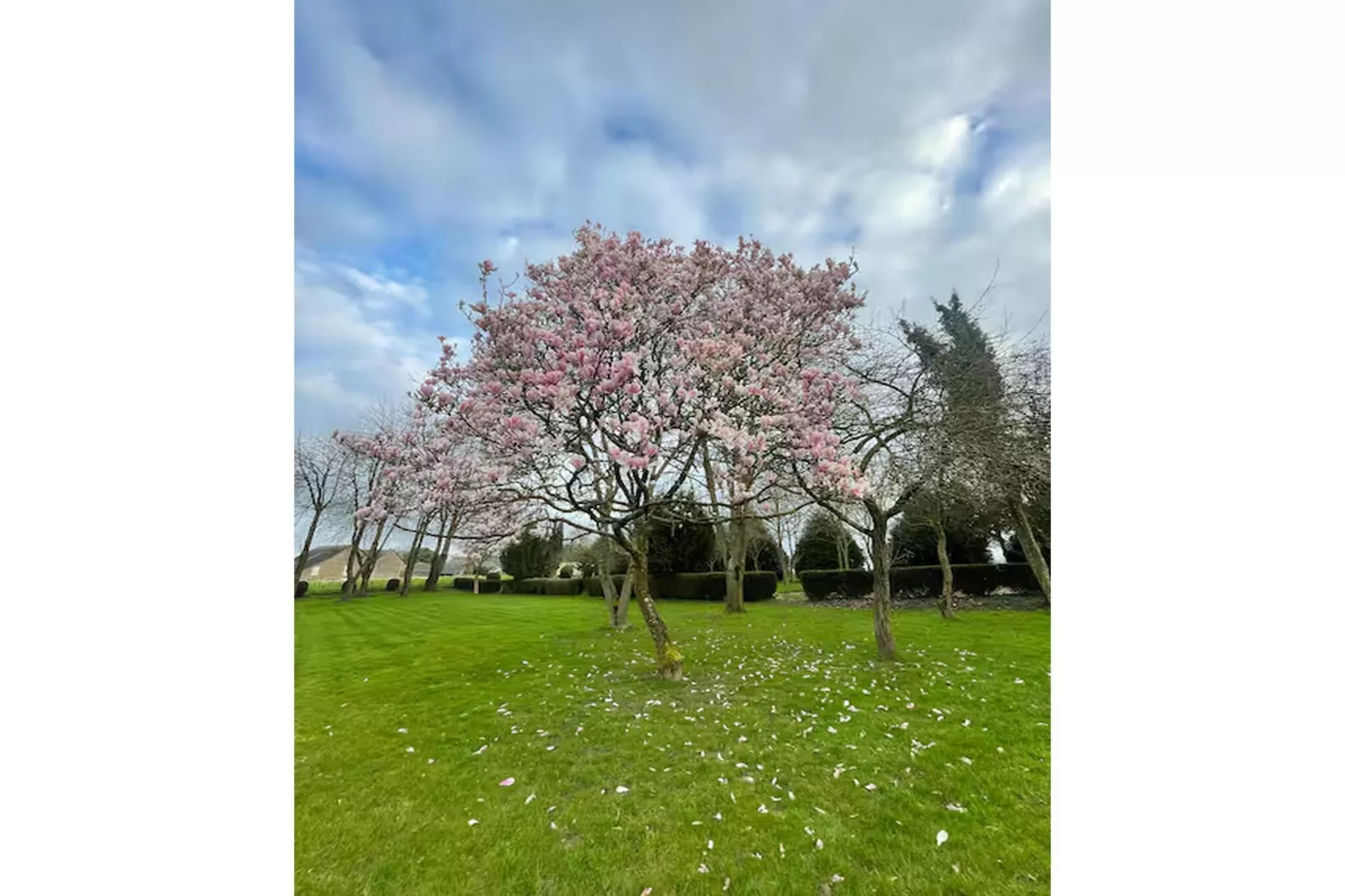 Gîte l'Armor  Jacuzzi terrasse privée cuisine - Garten Sommer