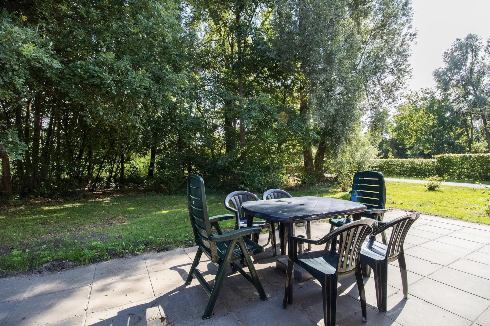 7 - Persoons Forest 217 Sauna Bungalow (copy) - Terrasse / balcon