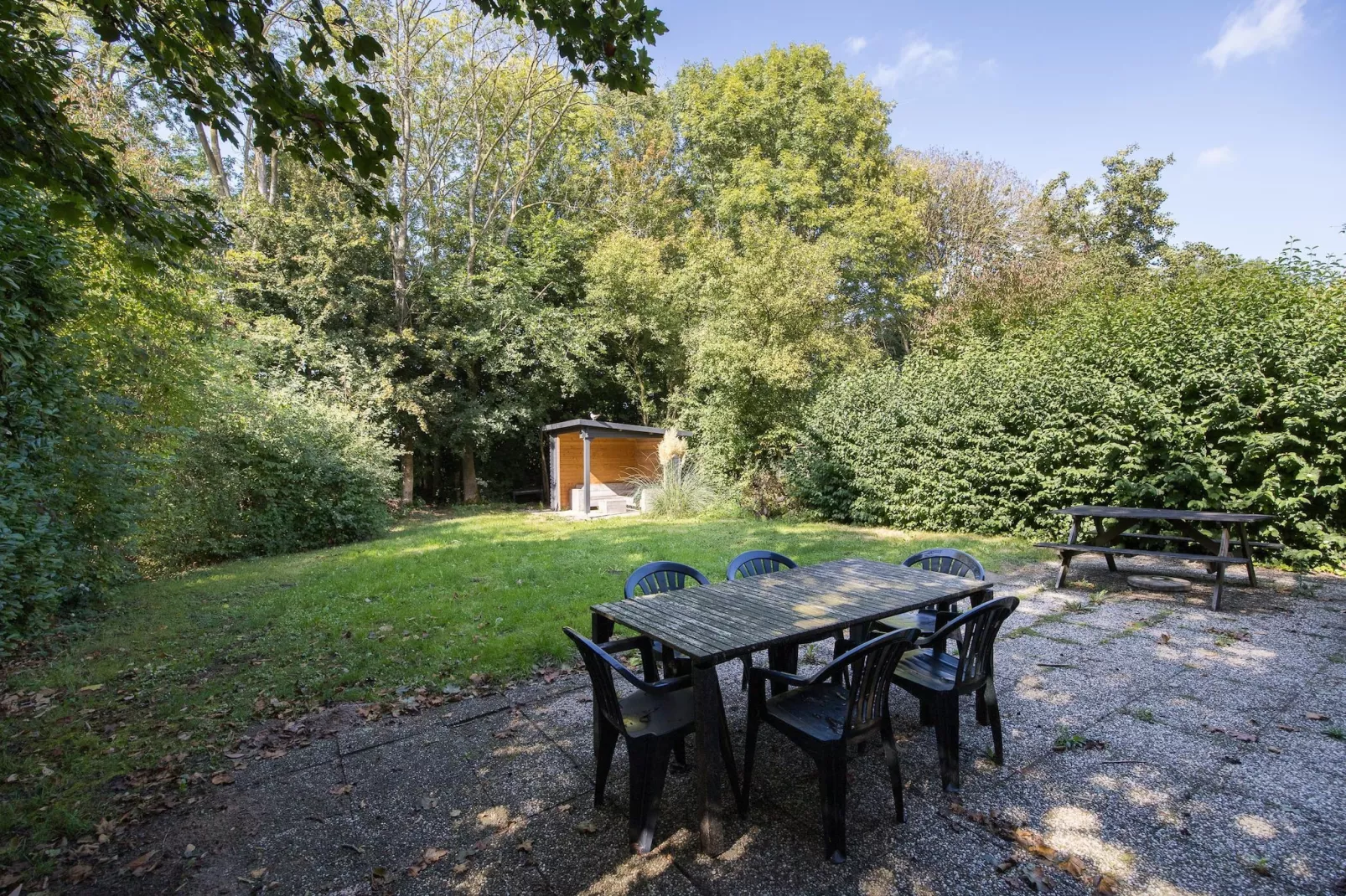 7 - Persoons Forest 217 Sauna Bungalow (copy) - Terrasse / balcon