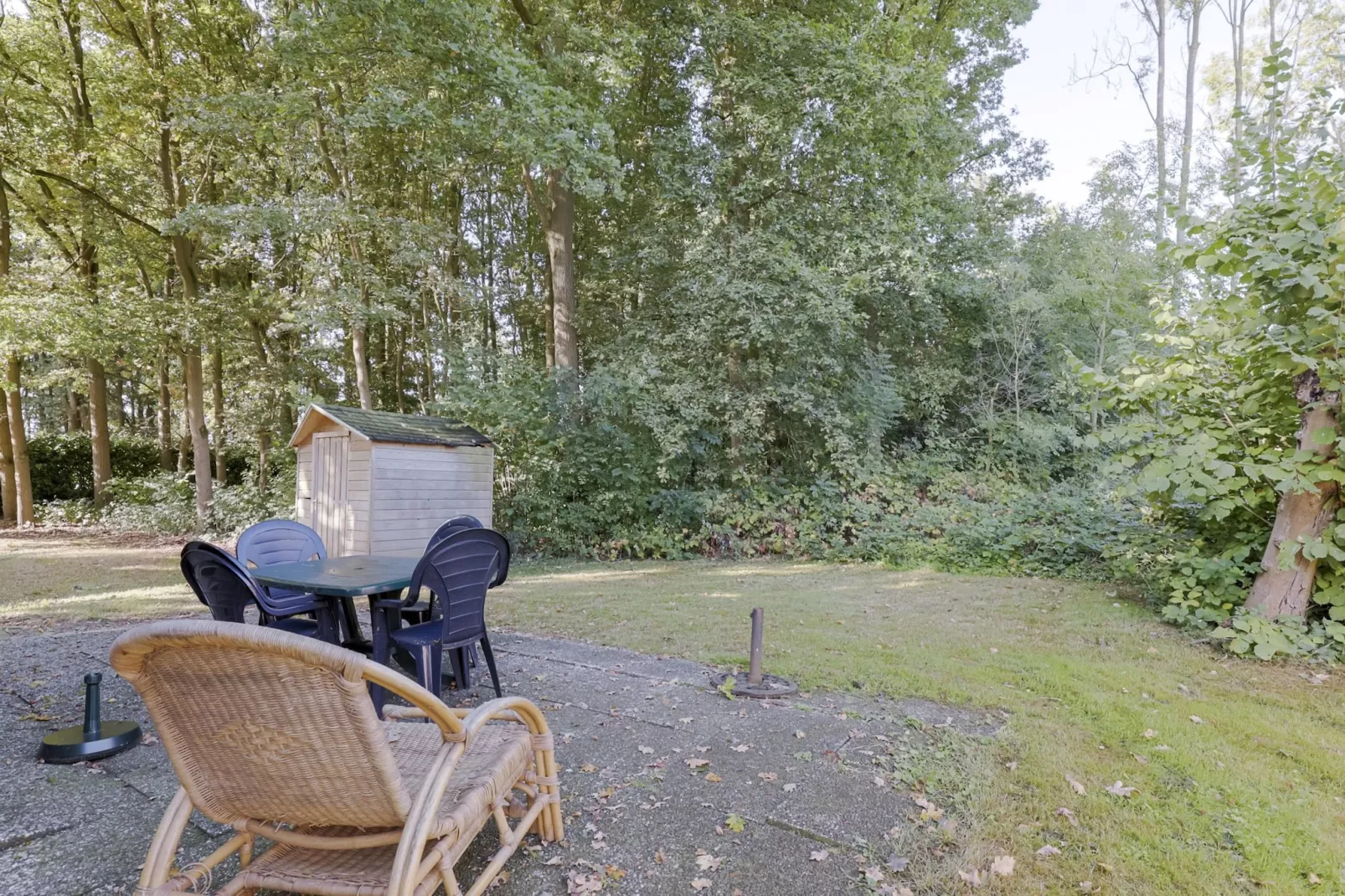 7 - Persoons Forest 217 Sauna Bungalow (copy) (copy) - Terrace balcony