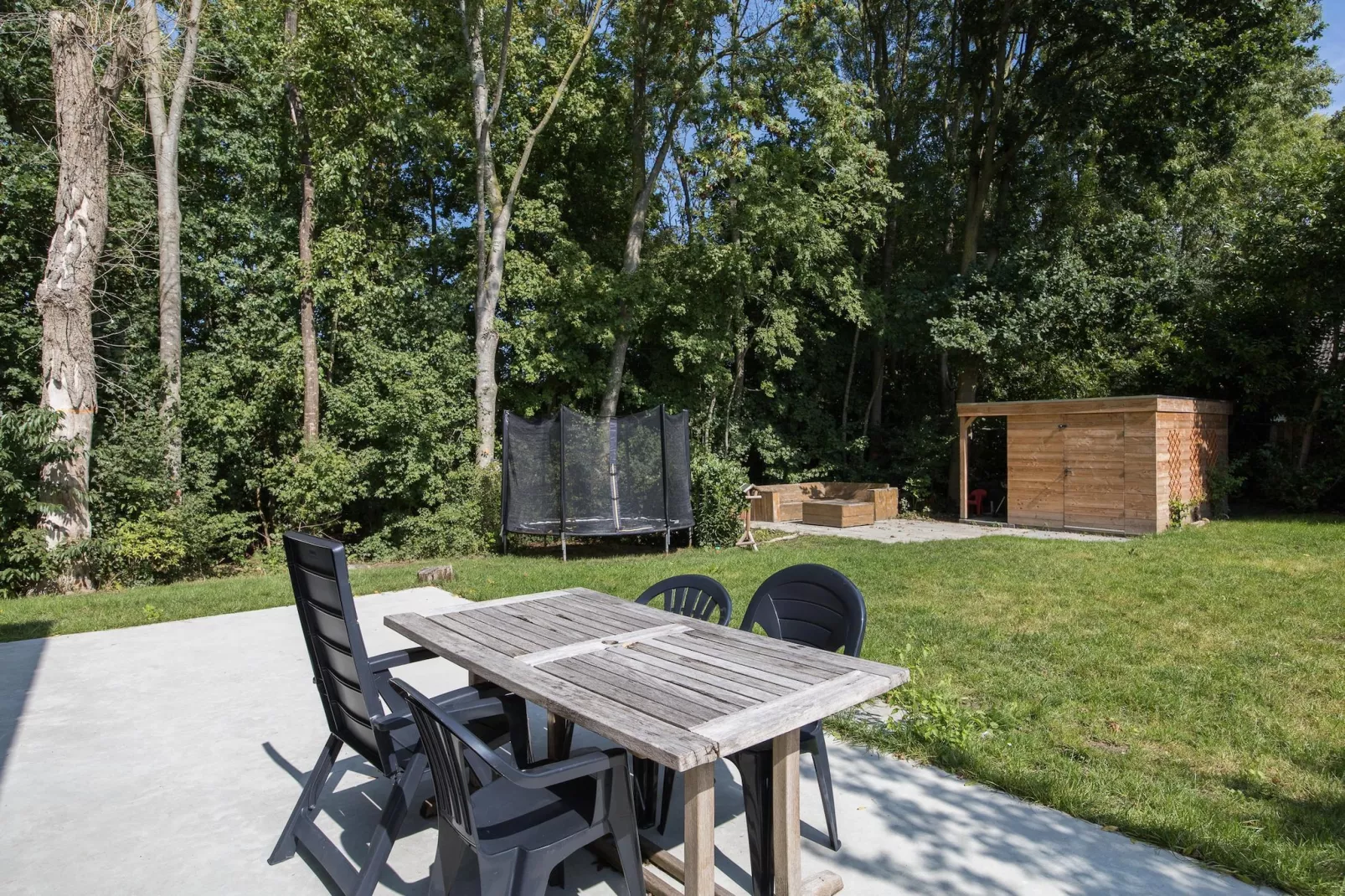 7 - Persoons Forest 217 Sauna Bungalow (copy) (copy) - Terrasse / balcon